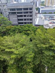Blk 37 Rumah Tinggi View (Bukit Merah), HDB 3 Rooms #541337631